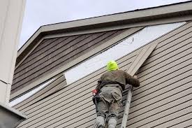 Affordable Siding Repair and Maintenance Services in Homeland, GA